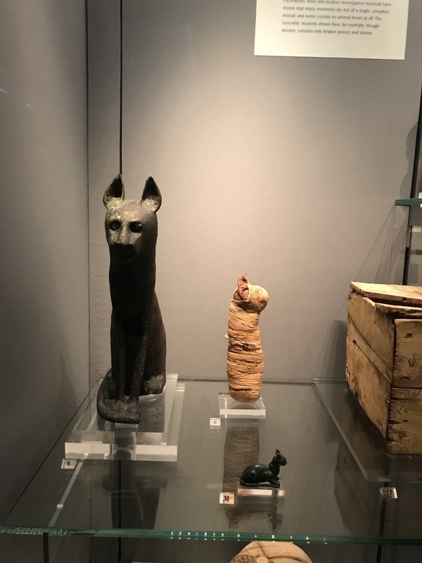f:id:saebou:20190828074544j:plain f:id:saebou:20190828074544j:plain