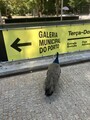 20250718113622