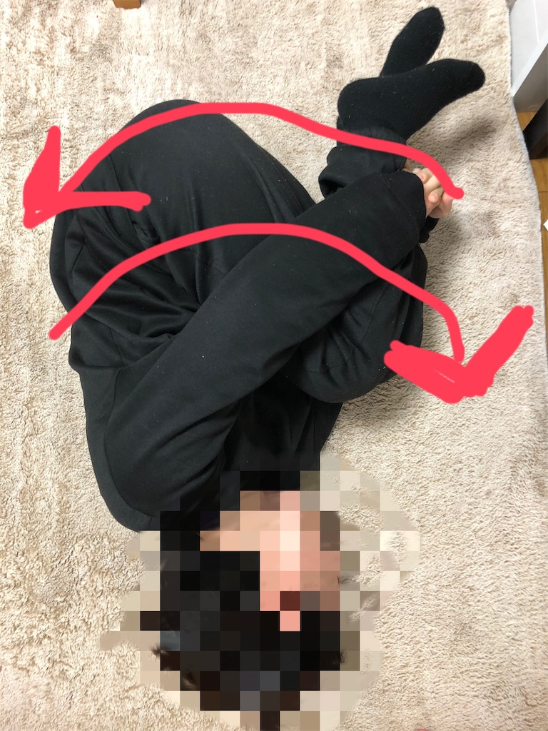 f:id:saeka5296:20191123022436j:image f:id:saeka5296:20191123022436j:image