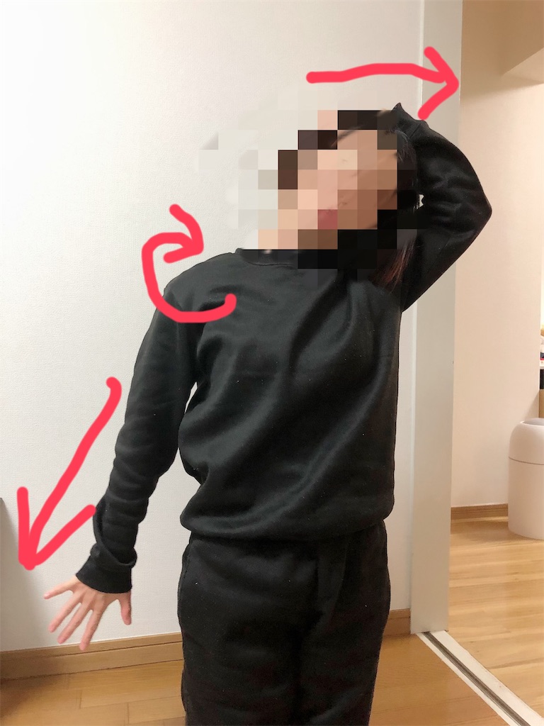 f:id:saeka5296:20191125202638j:image f:id:saeka5296:20191125202638j:image