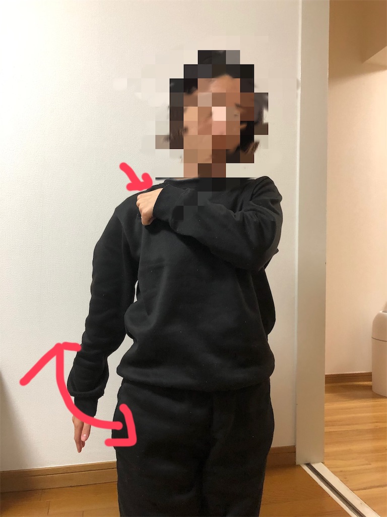 f:id:saeka5296:20191125210055j:image f:id:saeka5296:20191125210055j:image