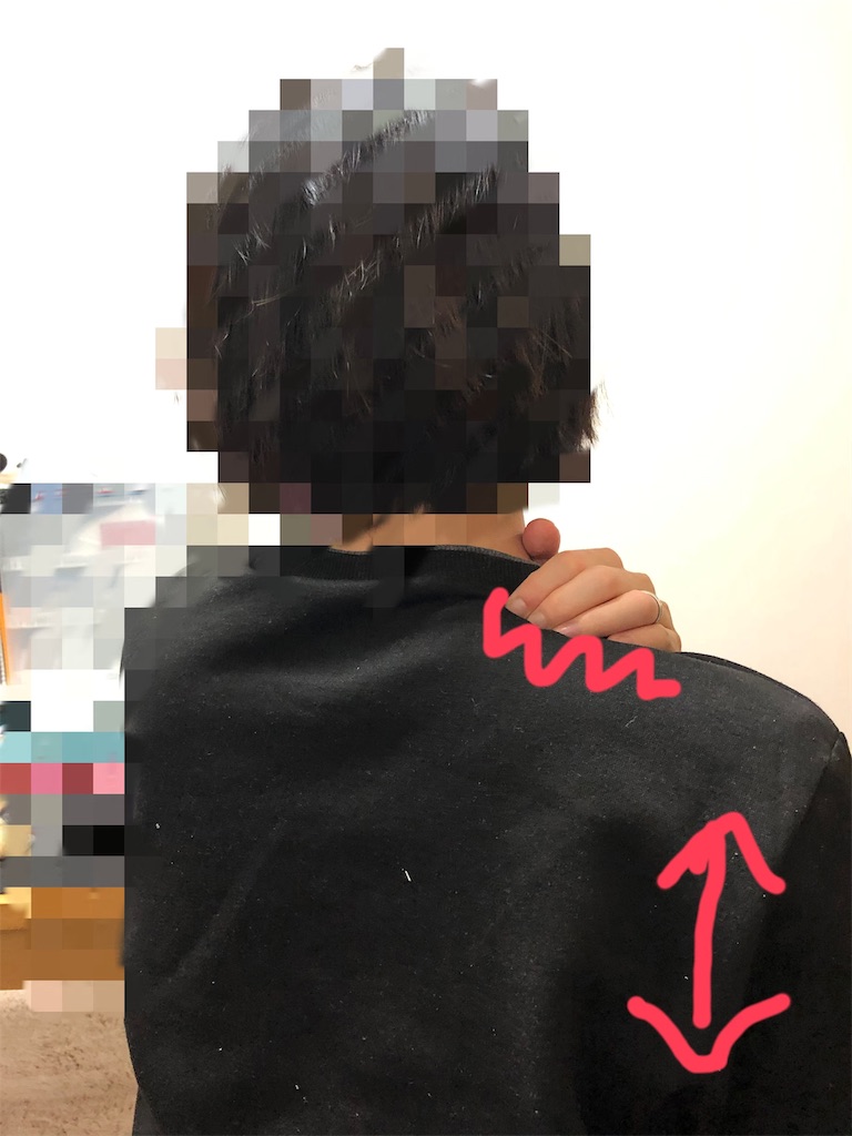 f:id:saeka5296:20191125210109j:image f:id:saeka5296:20191125210109j:image