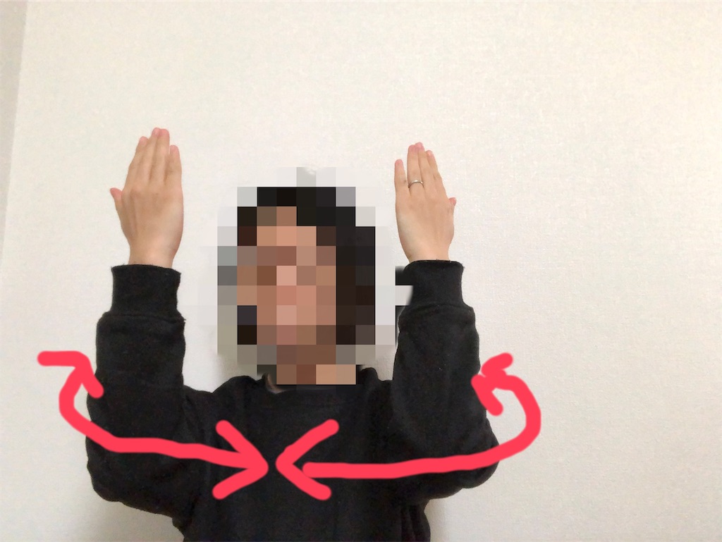 f:id:saeka5296:20191125210137j:image f:id:saeka5296:20191125210137j:image