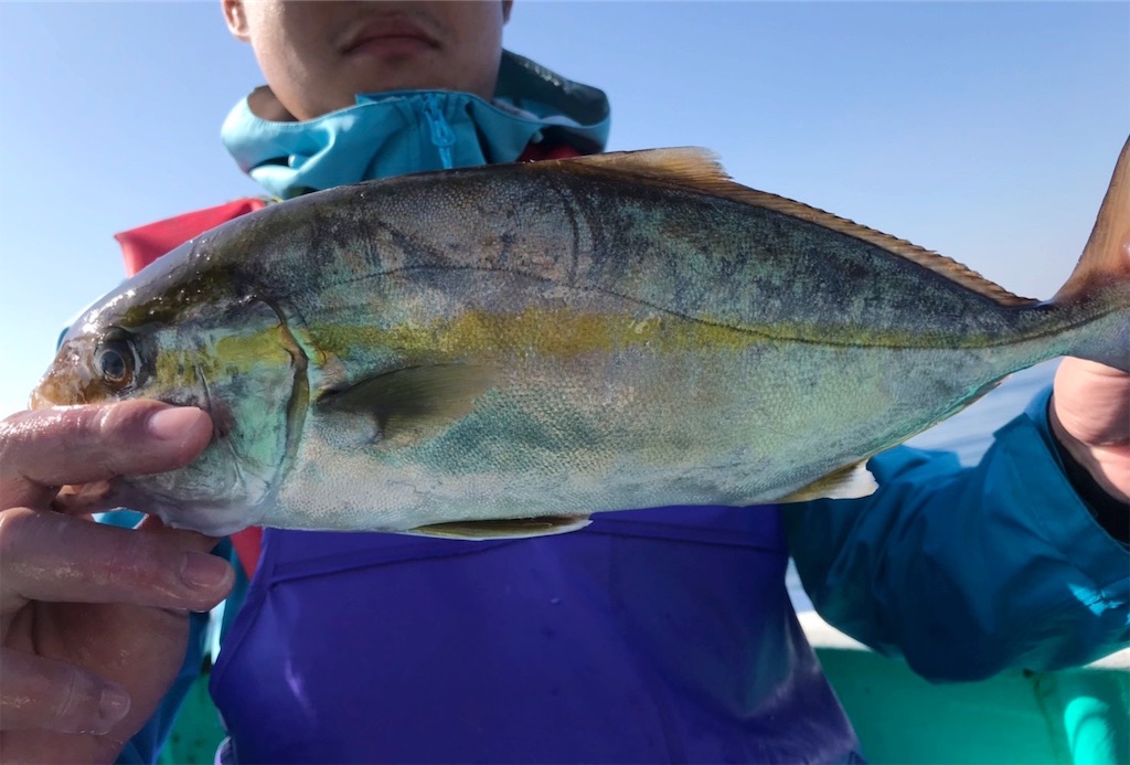 f:id:saemumaru:20191101171827j:image