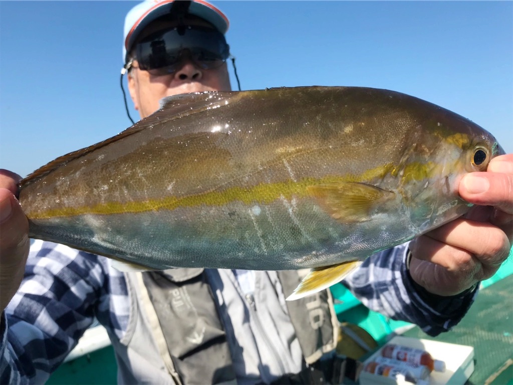 f:id:saemumaru:20191101171832j:image