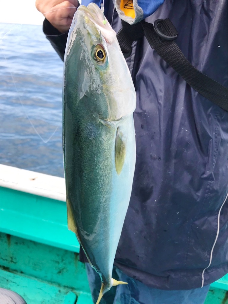 f:id:saemumaru:20191118162824j:image