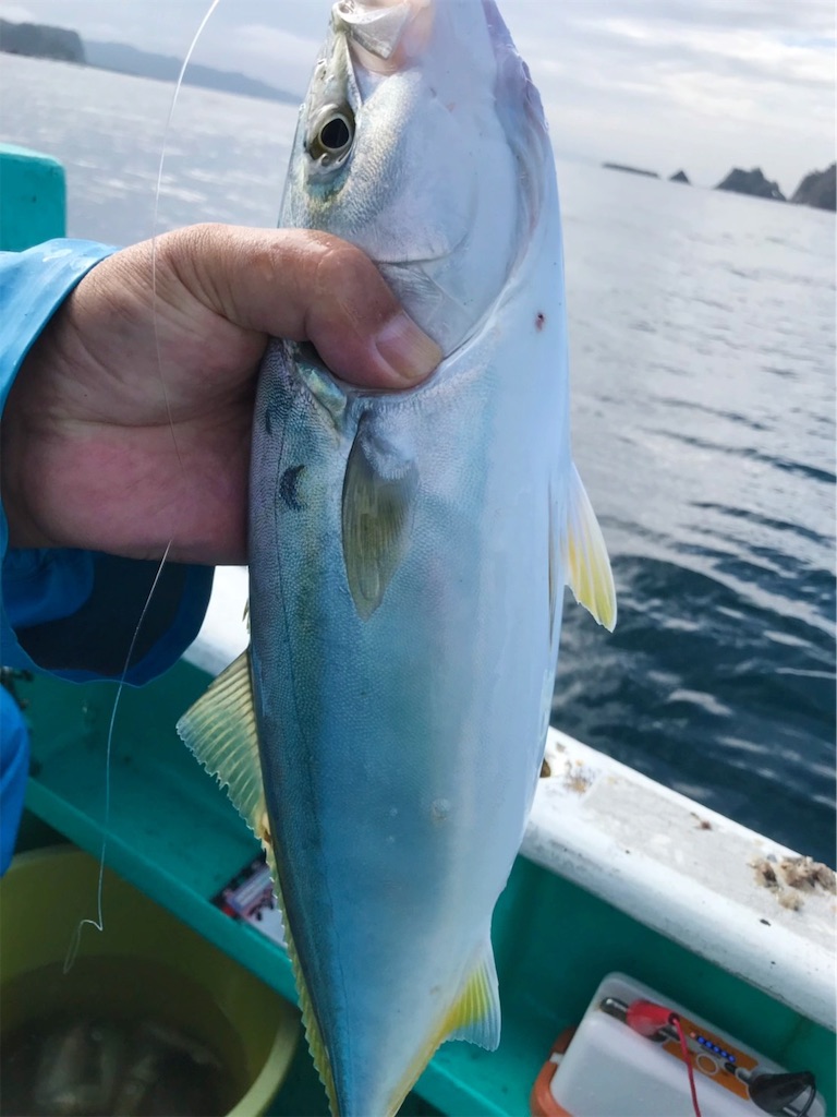 f:id:saemumaru:20191118162850j:image