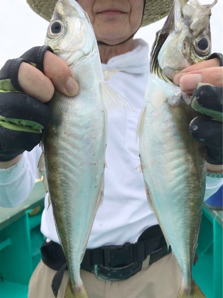 f:id:saemumaru:20200616171723j:image
