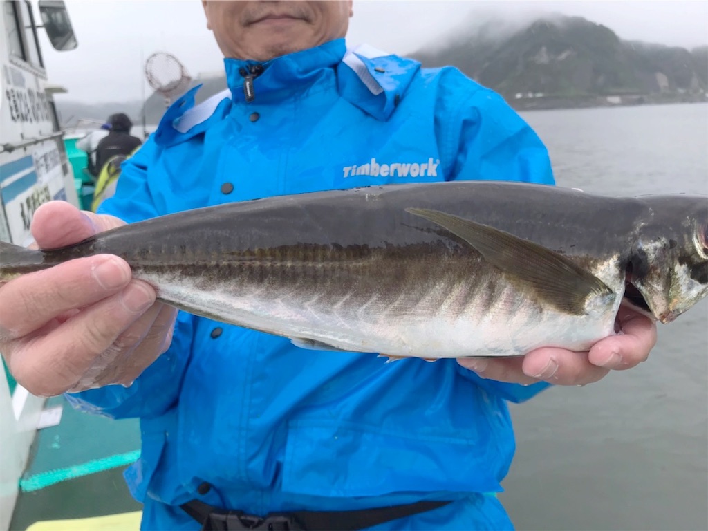 f:id:saemumaru:20200718152129j:image