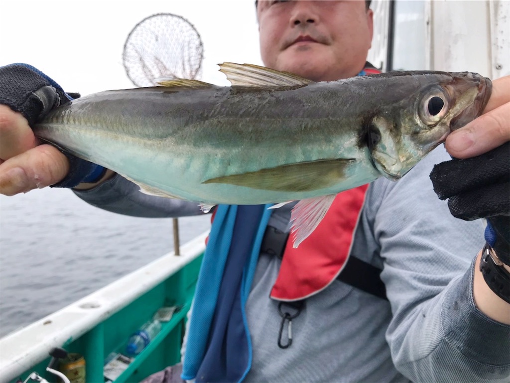 f:id:saemumaru:20200823153602j:image