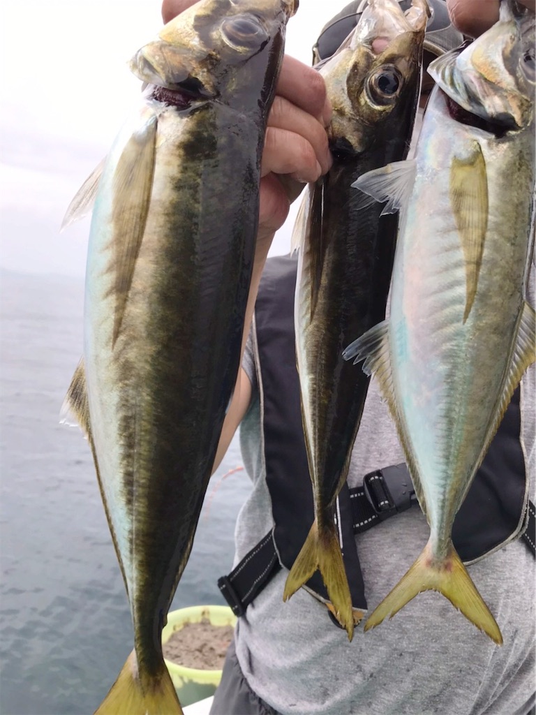 f:id:saemumaru:20200823153631j:image