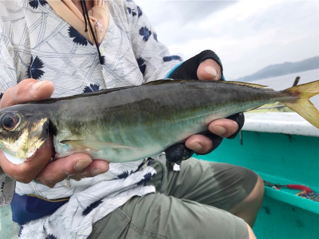 f:id:saemumaru:20200823153635j:image