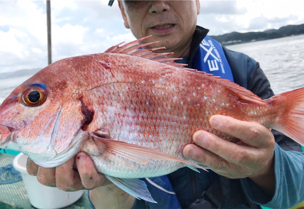 f:id:saemumaru:20200827150615j:image
