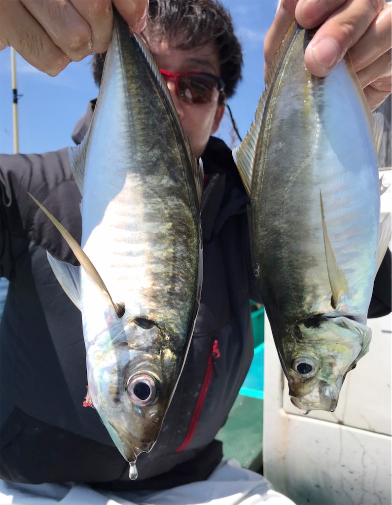 f:id:saemumaru:20210801135250j:image