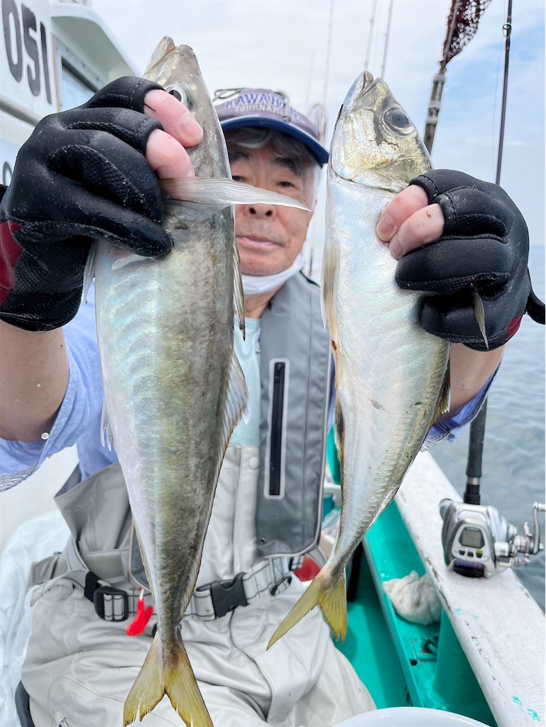 f:id:saemumaru:20240629163545j:image