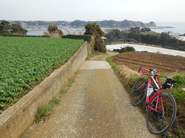 f:id:saetta0404:20160305192227j:plain f:id:saetta0404:20160305192227j:plain