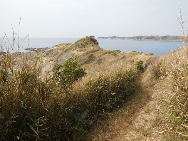 f:id:saetta0404:20160305192330j:plain f:id:saetta0404:20160305192330j:plain