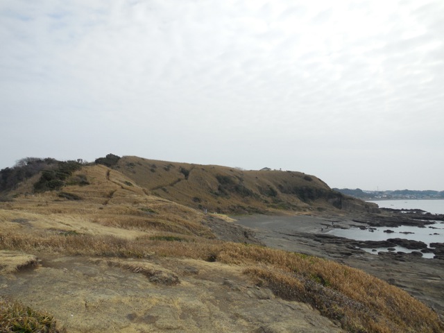 f:id:saetta0404:20160305192405j:plain f:id:saetta0404:20160305192405j:plain