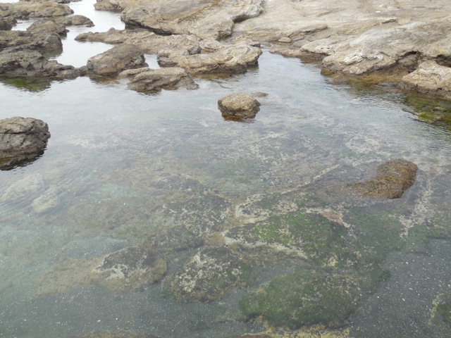 f:id:saetta0404:20160305192422j:plain f:id:saetta0404:20160305192422j:plain