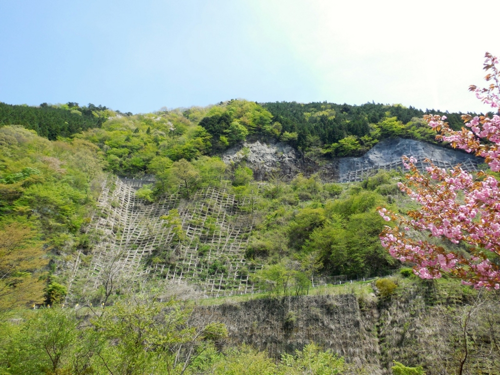 f:id:saetta0404:20160501061909j:plain