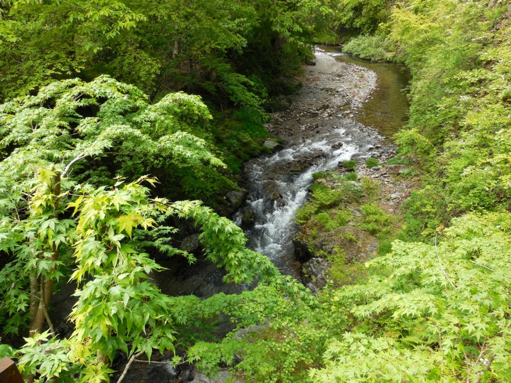 f:id:saetta0404:20160501062253j:plain