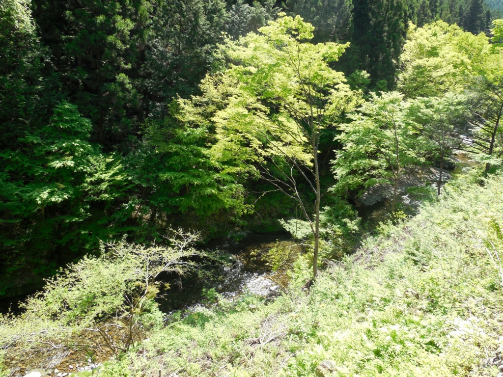 f:id:saetta0404:20160501093122j:plain