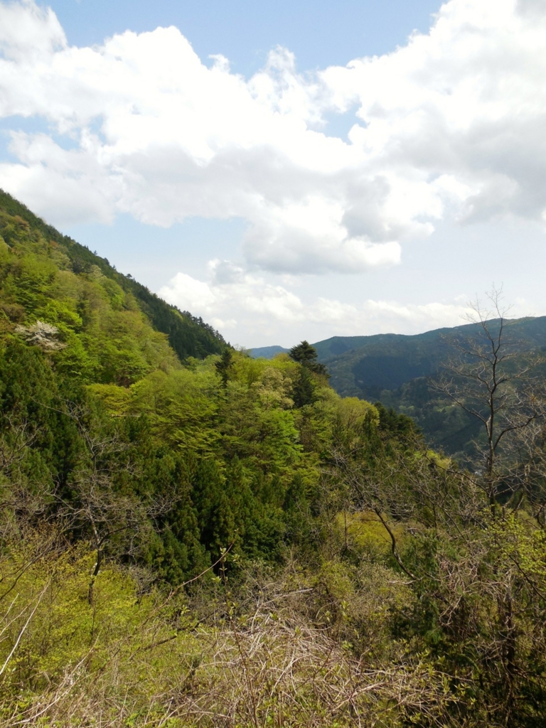 f:id:saetta0404:20160501113249j:plain