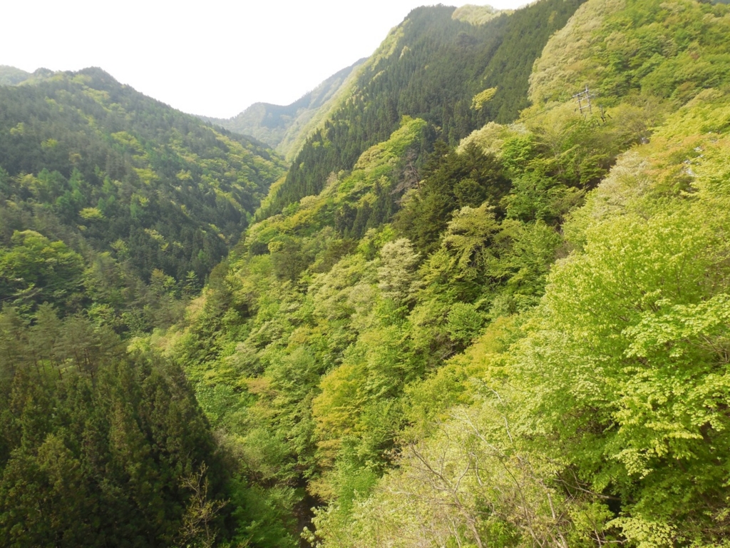 f:id:saetta0404:20160504084139j:plain f:id:saetta0404:20160504084139j:plain