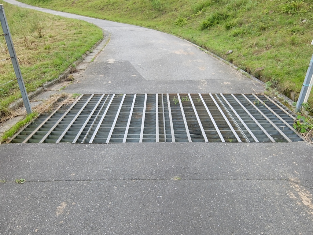 f:id:saetta0404:20160803093405j:plain