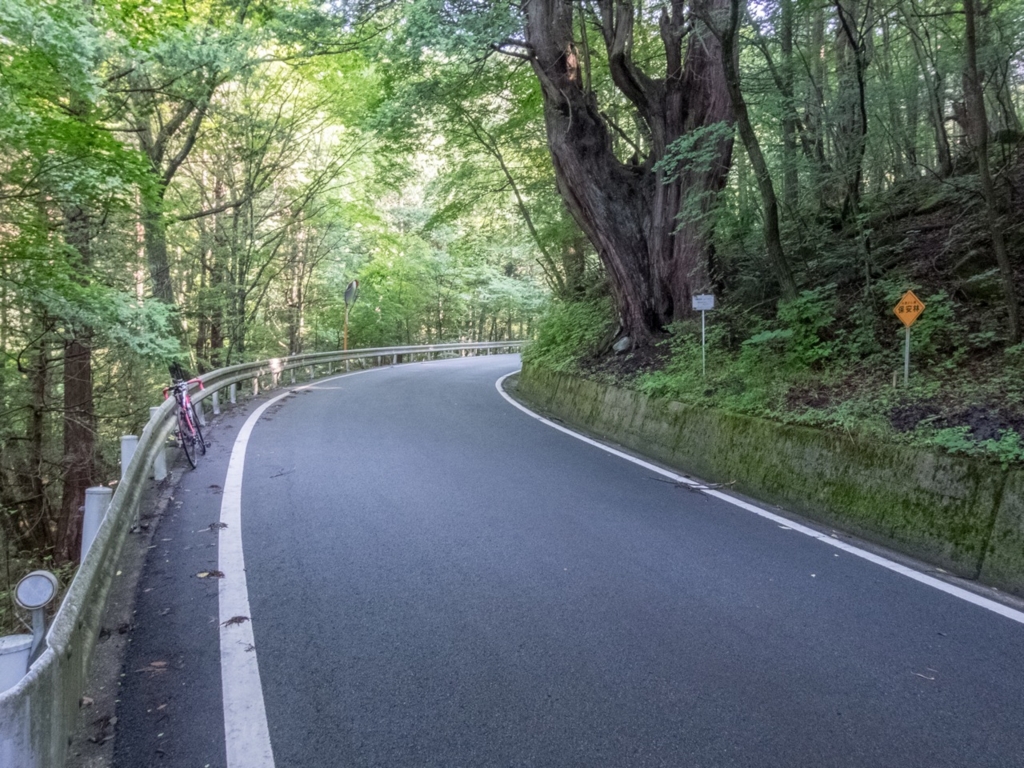 f:id:saetta0404:20160807111923j:plain