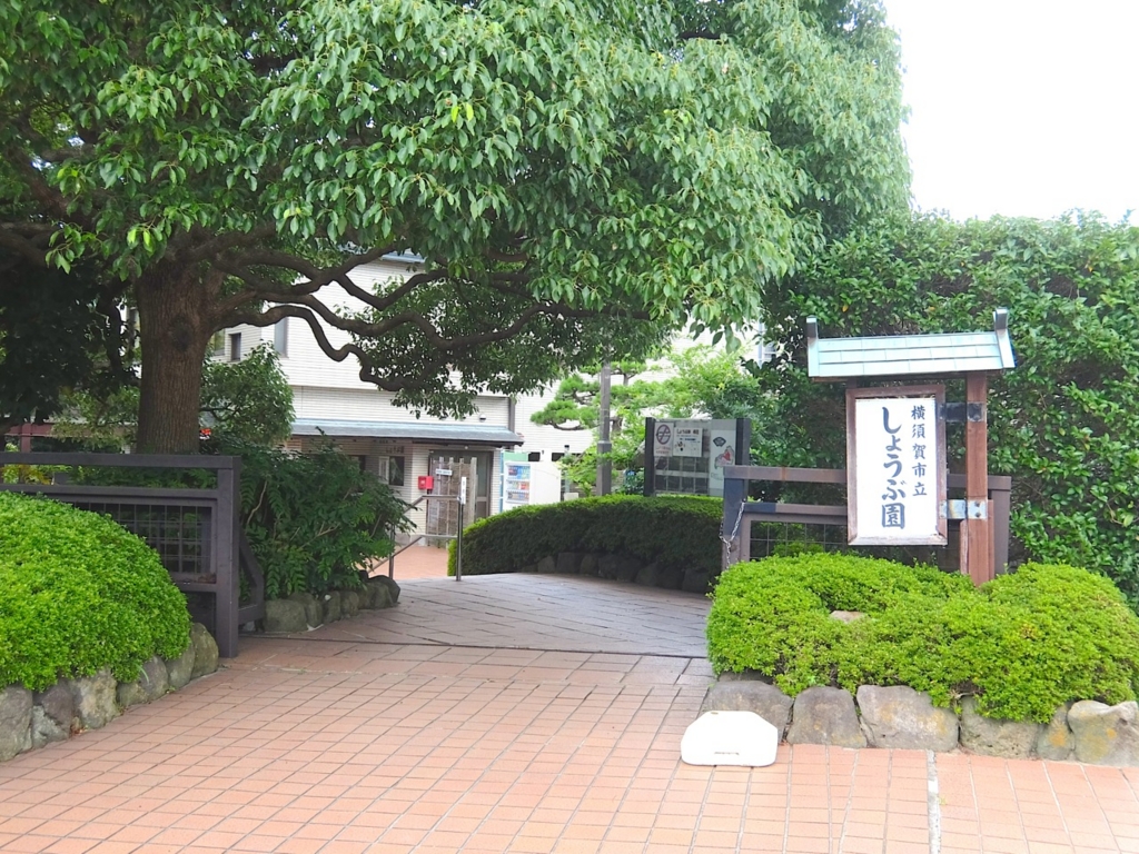 f:id:saetta0404:20160905080908j:plain f:id:saetta0404:20160905080908j:plain