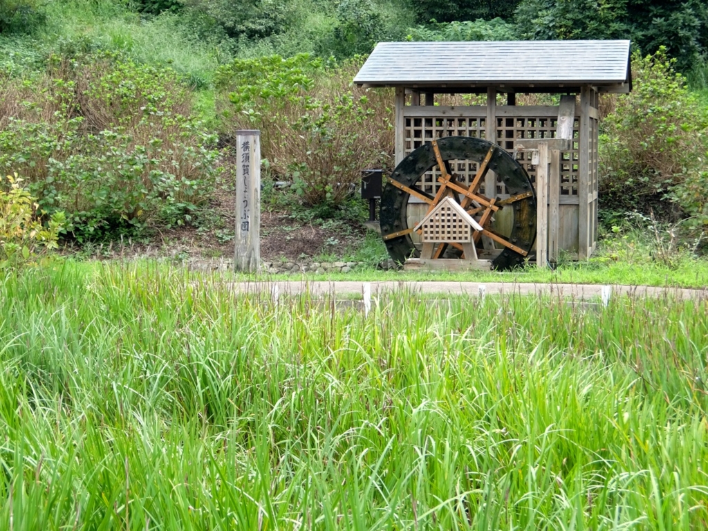 f:id:saetta0404:20160905080954j:plain f:id:saetta0404:20160905080954j:plain