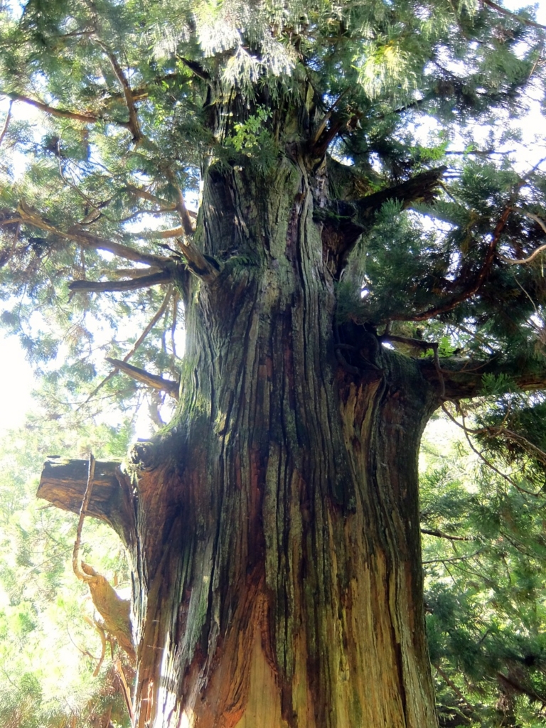 f:id:saetta0404:20160911063946j:plain f:id:saetta0404:20160911063946j:plain