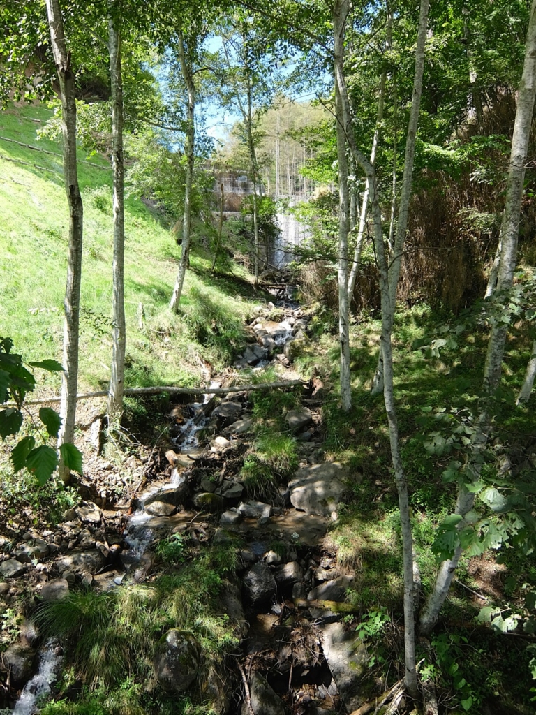 f:id:saetta0404:20160911064434j:plain f:id:saetta0404:20160911064434j:plain