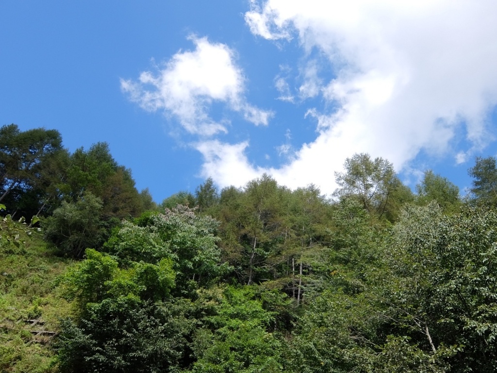 f:id:saetta0404:20160911064519j:plain f:id:saetta0404:20160911064519j:plain