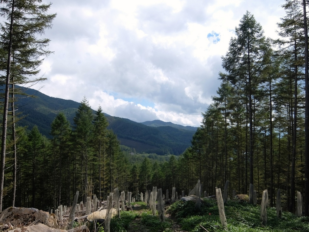 f:id:saetta0404:20160911064647j:plain f:id:saetta0404:20160911064647j:plain