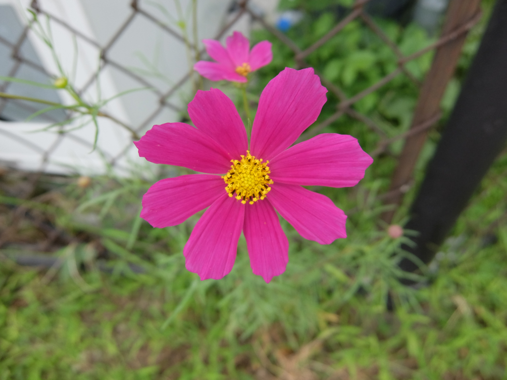 f:id:saetta0404:20161008112648j:plain