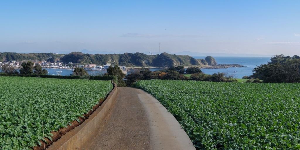 f:id:saetta0404:20161126180316j:plain