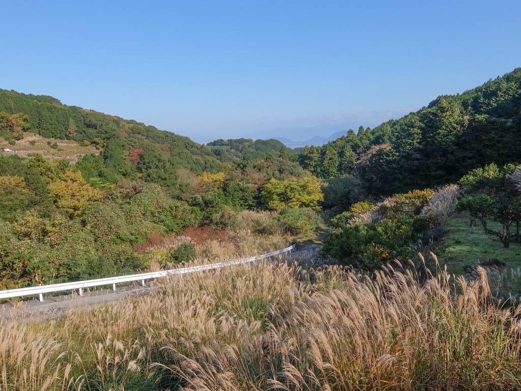 f:id:saetta0404:20161204103745j:plain