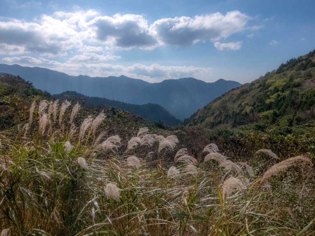 f:id:saetta0404:20161204104330j:plain