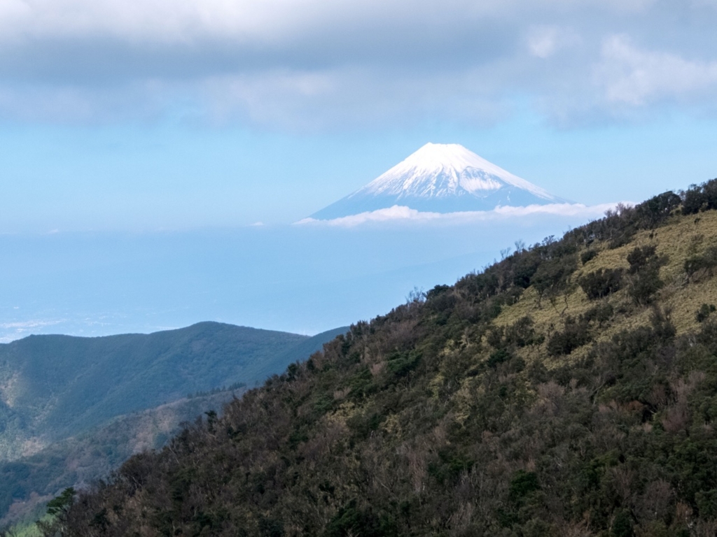 f:id:saetta0404:20161204104814j:plain