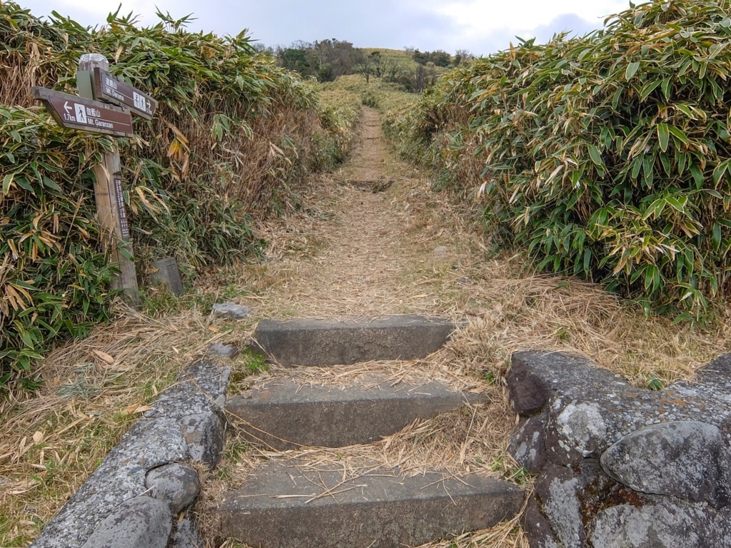 f:id:saetta0404:20161204105152j:plain