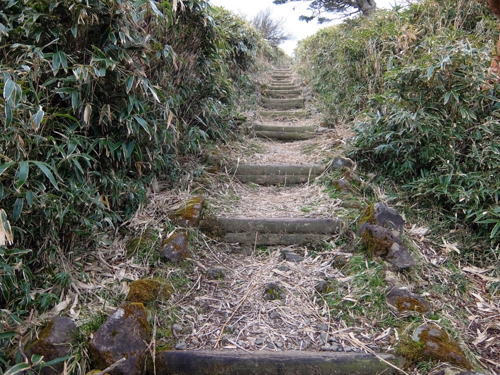 f:id:saetta0404:20161204105214j:plain