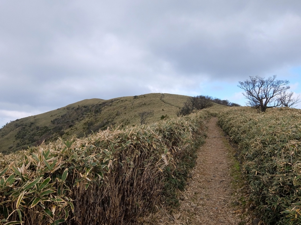 f:id:saetta0404:20161204105238j:plain