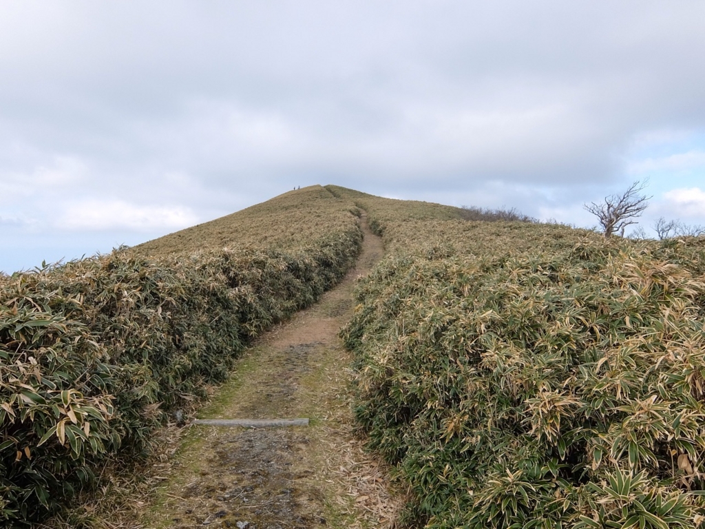 f:id:saetta0404:20161204105306j:plain