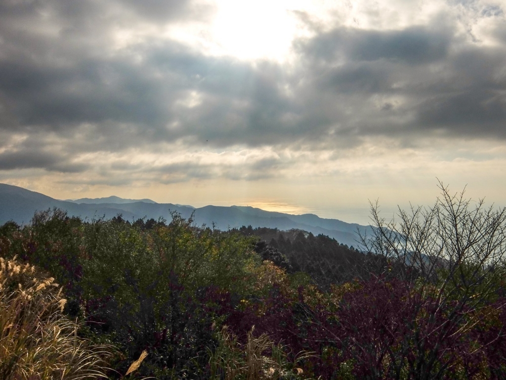 f:id:saetta0404:20161204110534j:plain