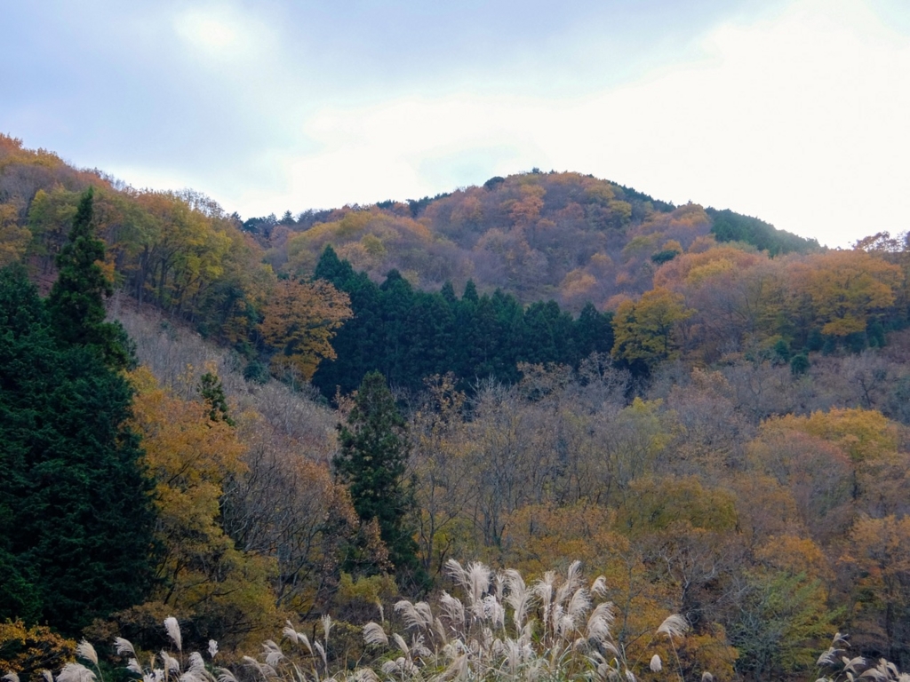 f:id:saetta0404:20161204110621j:plain