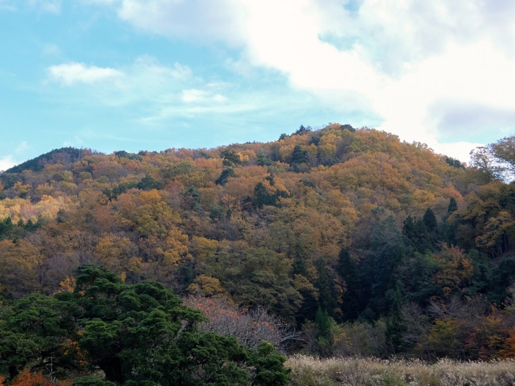 f:id:saetta0404:20161204110636j:plain