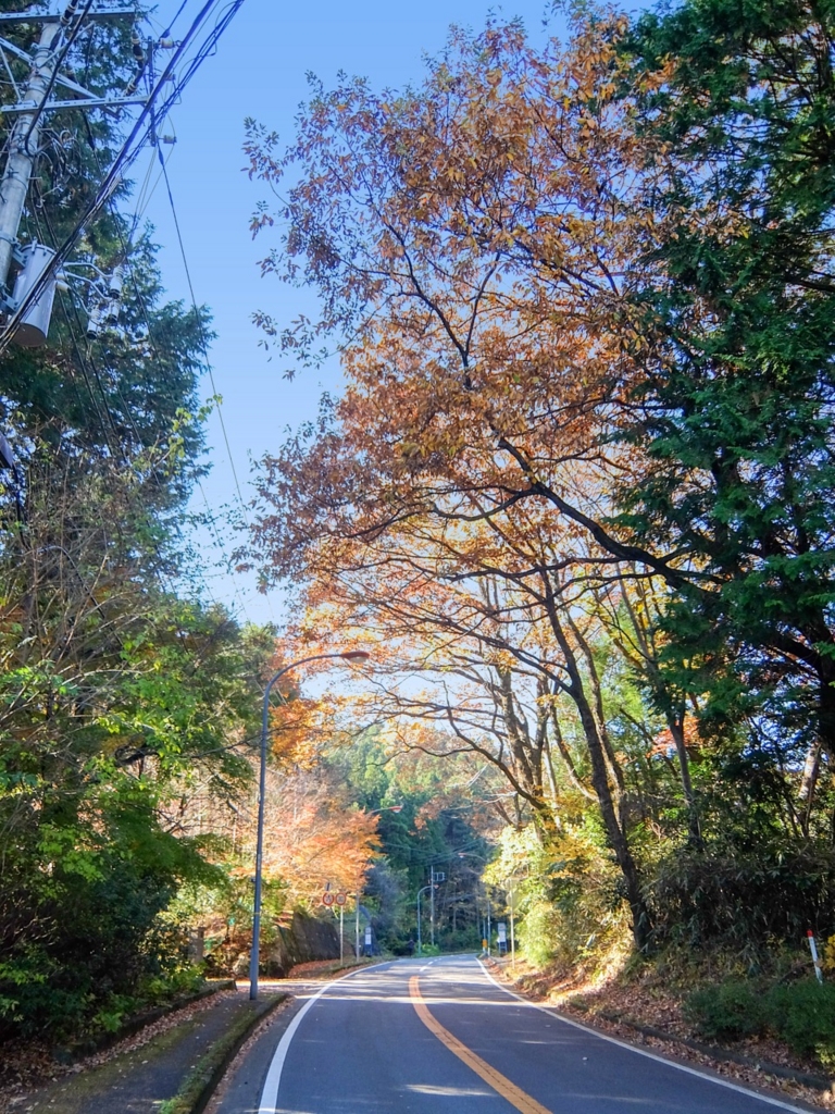 f:id:saetta0404:20161211142459j:plain