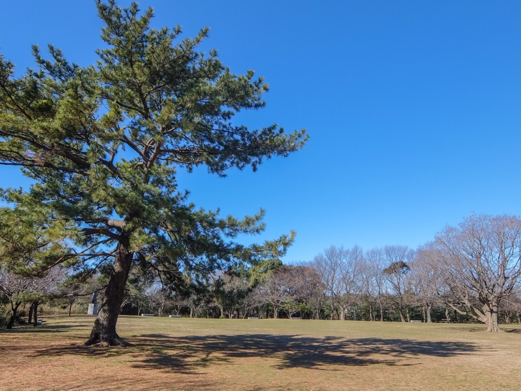 f:id:saetta0404:20170215222818j:plain